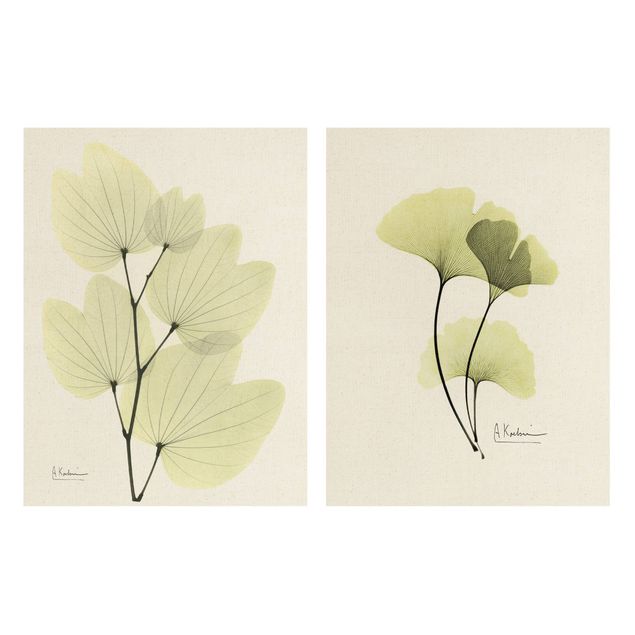 Cuadros de flores modernos X-Ray - Orchid Tree Leaves & Ginkgo