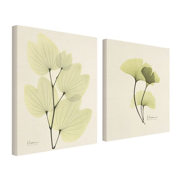 Cuadros tonos verdes X-Ray - Orchid Tree Leaves & Ginkgo