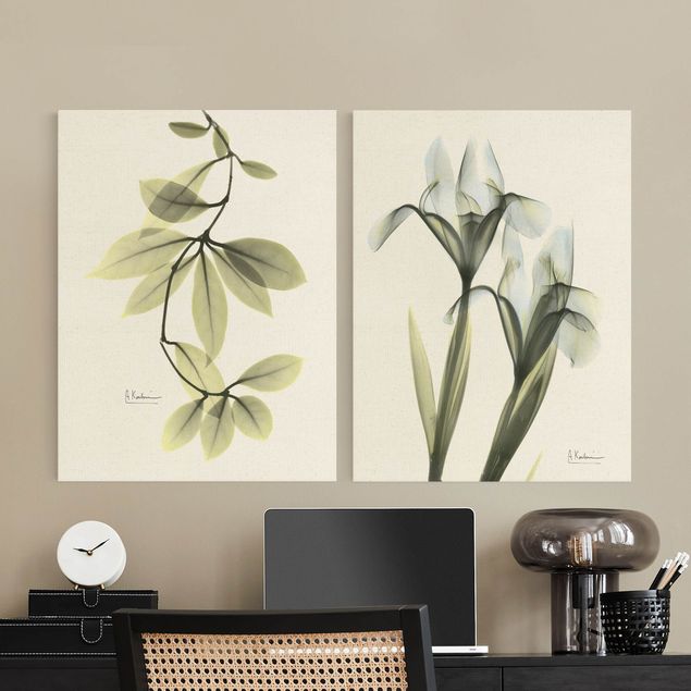 Cuadros tonos verdes X-Ray - Hoya Leaves & Iris