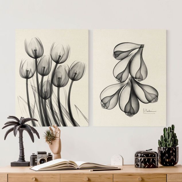 Cuadros a blanco y negro X-Ray - Tulips & Fig Shells