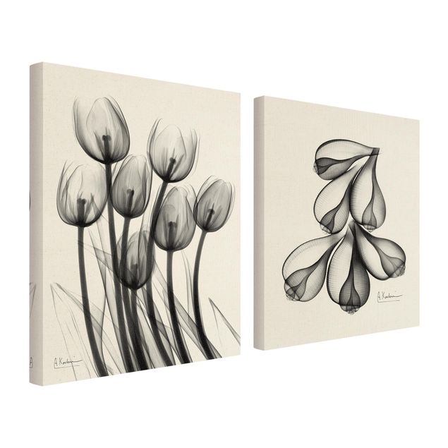 Lienzos X-Ray - Tulips & Fig Shells