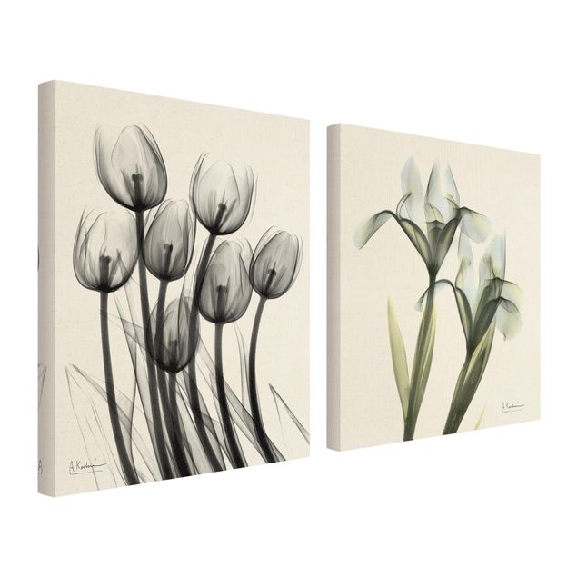 Cuadros en lienzo X-Ray - Tulips & Iris