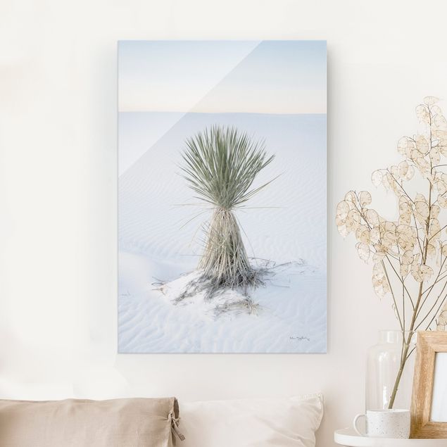 Cuadros de cristal dunas Yucca palm in white sand