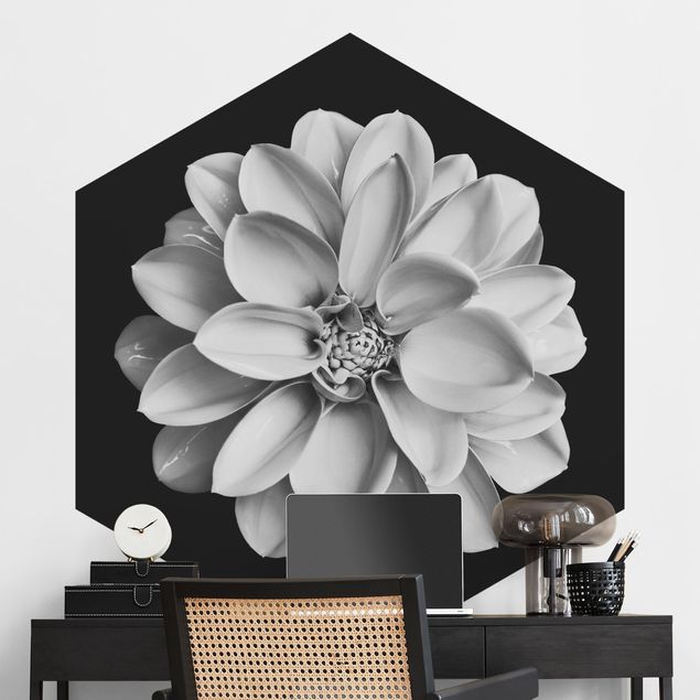 Papel pared flores Delicate Dahlia In Black And White