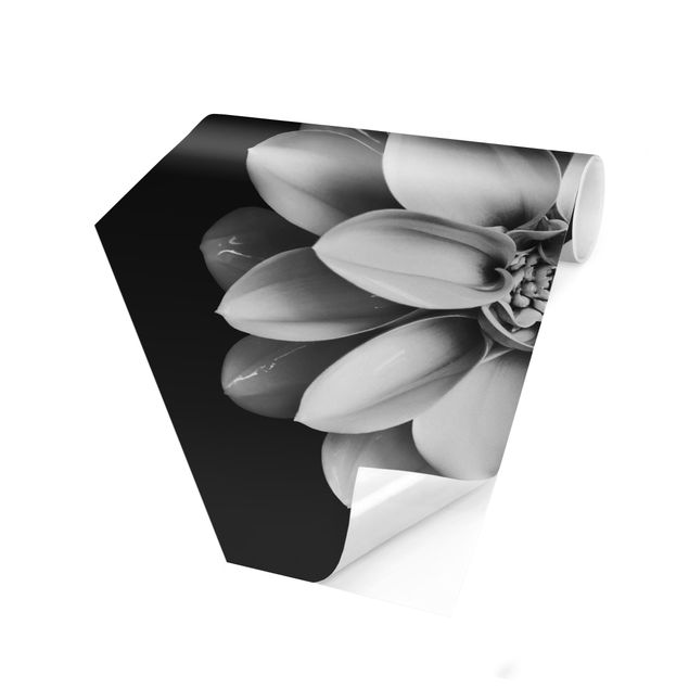 Papel pintado tonos beige Delicate Dahlia In Black And White