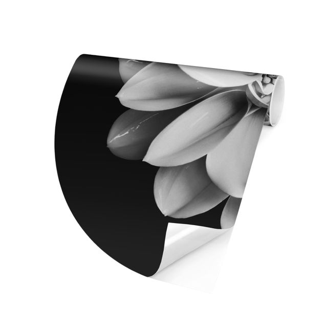 Papel pintado moderno Delicate Dahlia In Black And White