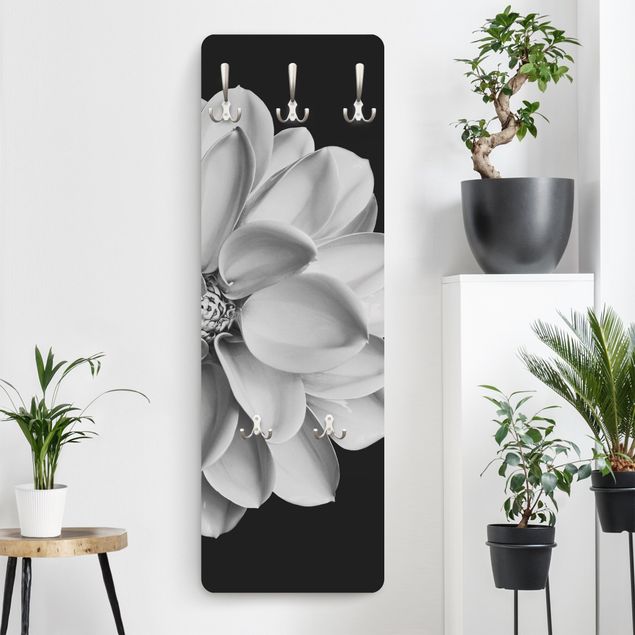 Percheros de pared de flores Delicate Dahlia In Black And White