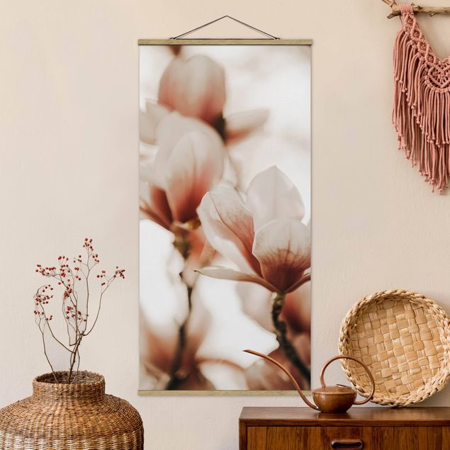 Decoración de cocinas Delicate Magnolia Flowers In An Interplay Of Light And Shadows