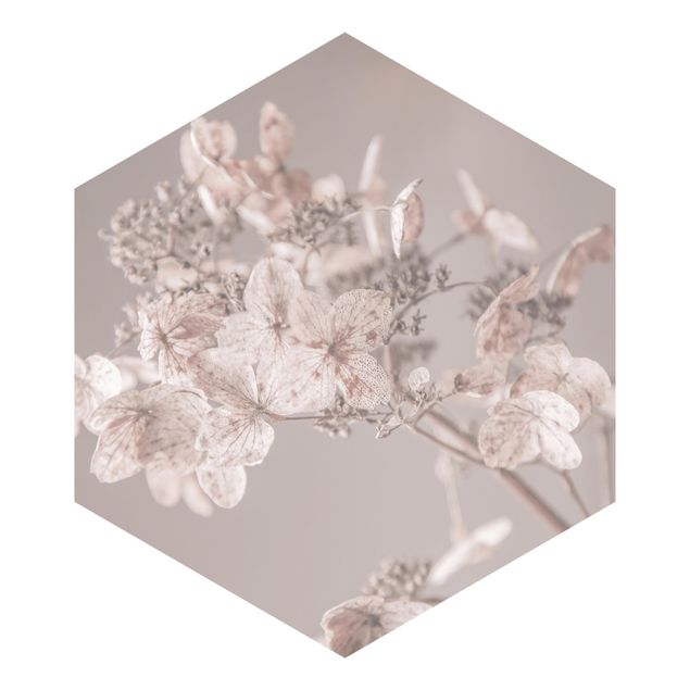 Cuadros de Monika Strigel Delicate White Hydrangea