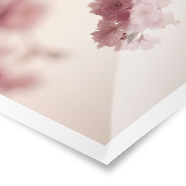 Cuadros de Monika Strigel Pale Pink Spring Flower With Bokeh