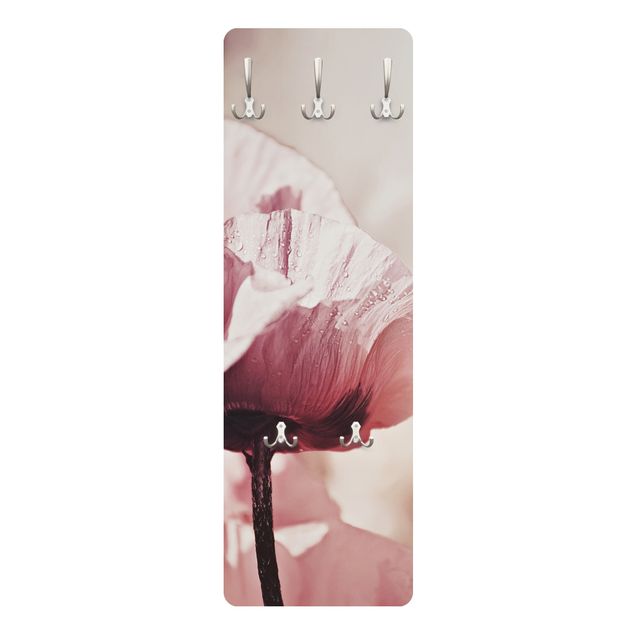Percha pared Pale Pink Poppy Flower With Water Drops