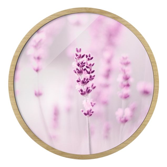 Cuadros de Monika Strigel Pale Purple Lavender