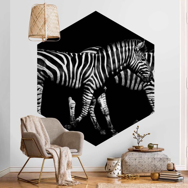 Papel pintado moderno Zebra In The Dark