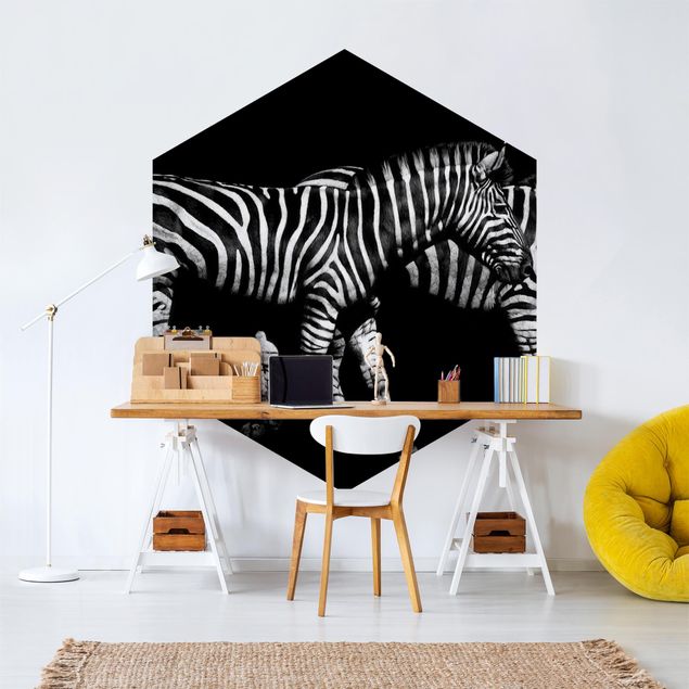 Papel pintado blanco y negro Zebra In The Dark