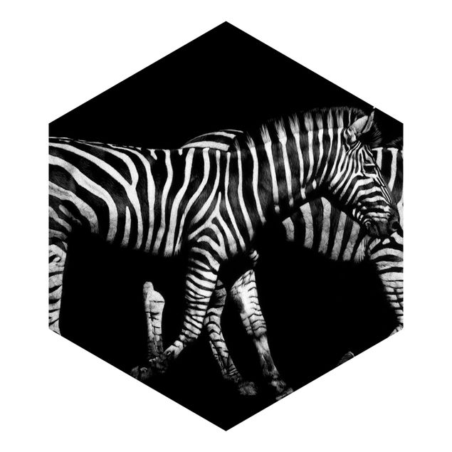 Papel pintado Zebra In The Dark