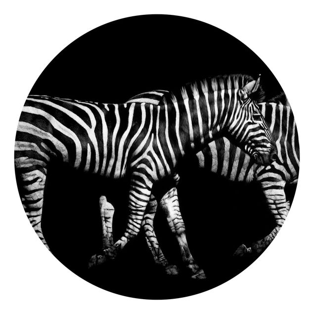 Papel pintado en blanco y negro Zebra In The Dark