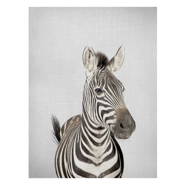 Lienzos de animales Zebra Zilla