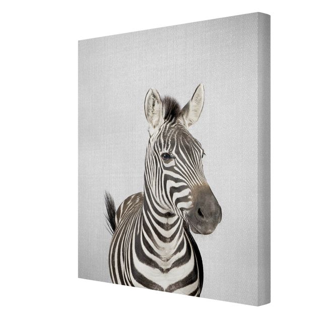 Cuadros decorativos modernos Zebra Zilla
