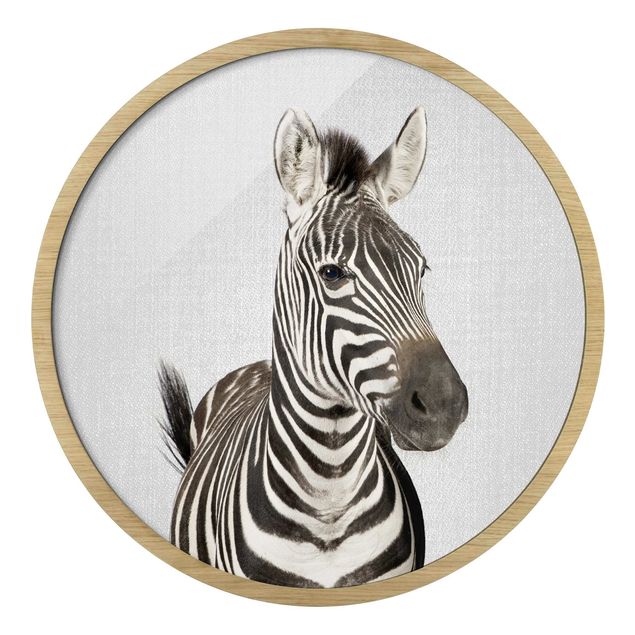 Cuadro redondo Zebra Zilla