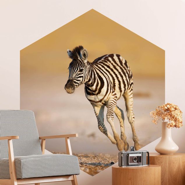 Papel pintado cebra Zebra Foal
