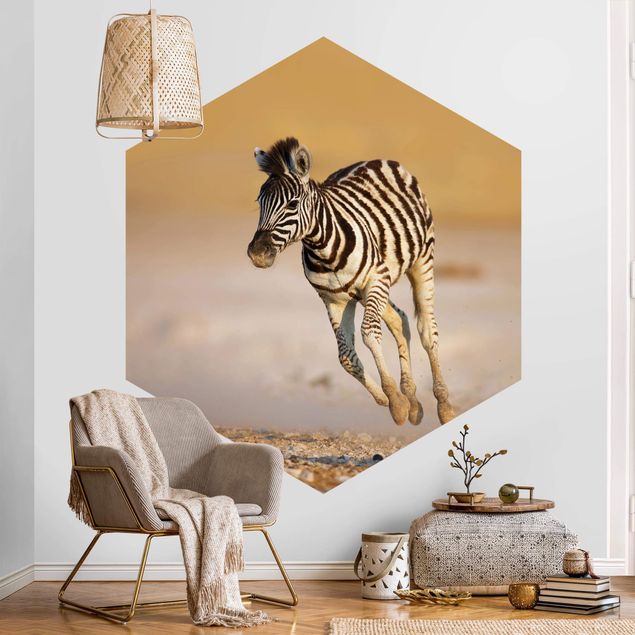 Papel pintado desierto Zebra Foal