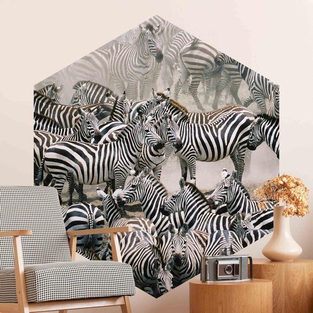 Papel pintado caballos Zebra Herd