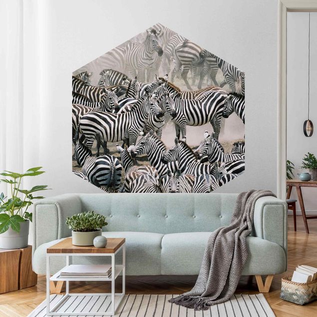 Papel pintado cebra Zebra Herd