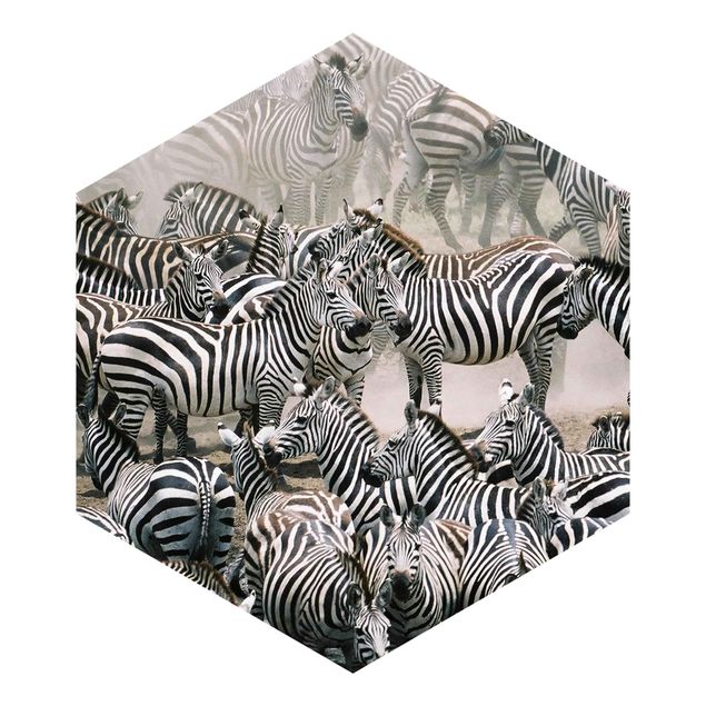 Papel pintado hexagonal Zebra Herd
