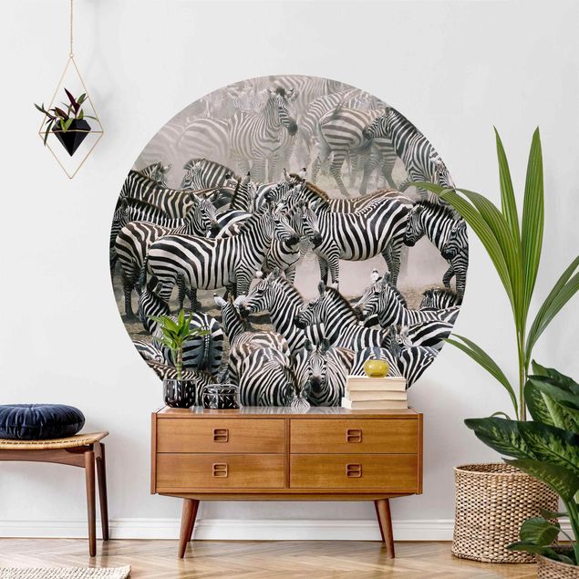 Papel pintado de caballos Zebra Herd
