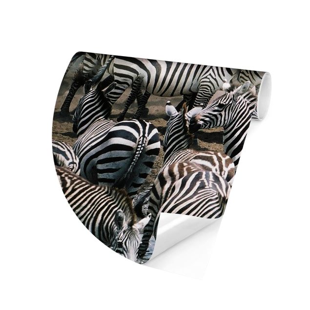 Papel pared cebra Zebra Herd