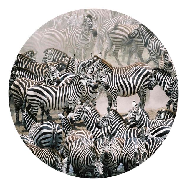 Papeles pintados modernos Zebra Herd
