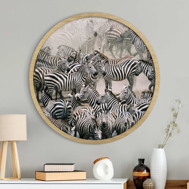 Pósters enmarcados en blanco y negro Zebra Herd