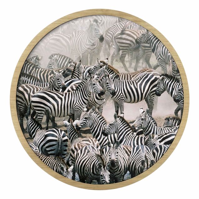 Cuadros modernos blanco y negro Zebra Herd