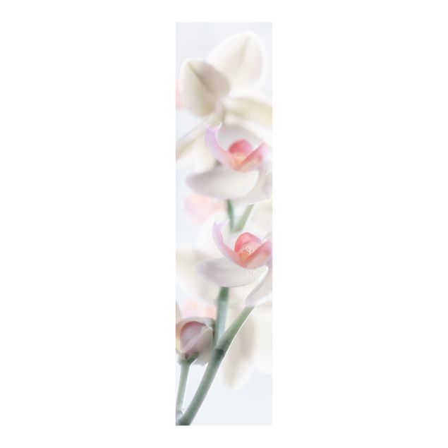 Paneles japoneses flores Delicate Orchid