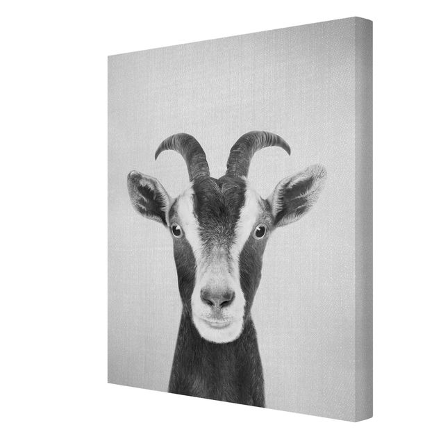 Cuadros de Gal Design Goat Zora Black And White