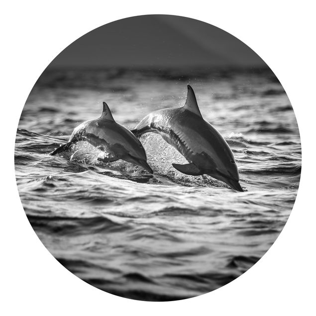 Papeles pintados blanco y negro Two Jumping Dolphins